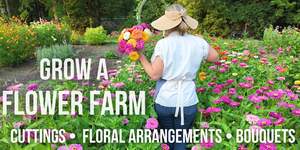 Seminare i supercibi sani e sani da 10 confezioni di Broccoli campione di crescione da banco da cucina al coperto coltiva vasi da fiori per Microgreens da pavimento - Product Image 3