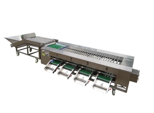 Máquina Clasificadora de Vegetales Personalizada/Máquina Clasificadora de Granadas <span class=keywords><strong>Soter</strong></span> para Manzanas - Product Image 5