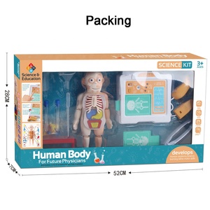 Juguete Educativo de Ciencias STEM, Modelo de Órganos del Cuerpo Humano, Kit de Órganos de Torso 3D para Ensamblar, Simulación de Ultrasonido Médico, Juguete de Laboratorio - Product Image 6