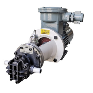 Équipement hydraulique de haute qualité <span class=keywords><strong>pompe</strong></span> chimique de dosage PEEK pour liquide dangereux et hautement corrosif avec moteur à l'<span class=keywords><strong>épreuve</strong></span> des ex - Product Image 6