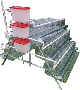 Long Life Span Poultry Layers battery chicken cages System in Kenya Farm