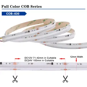 Full Color Dream Color RGBIC COB Led Rope Light 630 Chips 12mm DC12V 24V Programmable Addressable RGB COB Led St