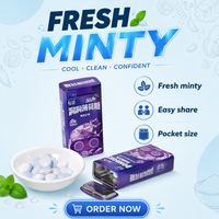 35g Sugar Free Blackcurrant with Sour Taste Tablet Candy