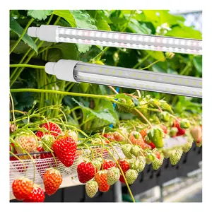 Barra de luz LED personalizada T8 para cultivo vertical e estufa de morango e tomate