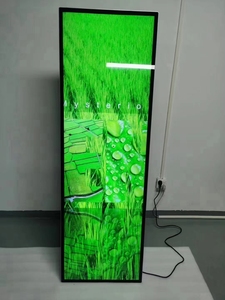 <span class=keywords><strong>Display</strong></span> LCD Allungato da 48 Pollici per Pubblicità/Pannello LCD Allungato - Product Image 4