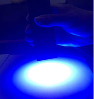 Lampe de Polymérisation Industrielle UV LED Birduv Prix Usine 365/385/395/405nm Portable 80W Corps en Aluminium Lampe Torche IP33 10000LM 20000HRS