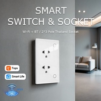 Prises intelligentes multifonctions thaïlandaises 220V 16A double 3 broches avec panneau en verre trempé Wi-Fi pour le marché de la Thaïlande, du Vietnam et des Philippines