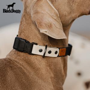 Collier et laisse pour chien en polyester classique à dégagement rapide imperméable avec rubans pour la promenade - Acceptation de la vente en gros - Product Image 1