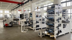New High Speed/Good Quality/Hot Sale 4 Color Poly Bag/Paper/PE/BOPP/Non-Woven <strong>Ci</strong> Flexographic/Flexo Printing Machine - Product Image 5