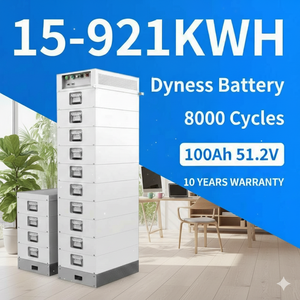 ฟังก์ชั่นทำความร้อนอัตโนมัติ Dyness STACK100 15.36 กิโลวัตต์ชั่วโมง สำหรับเก็บพลังงานในสภาพอากาศหนาวเย็น ปลอดภัยเป็นพิเศษ ติดตั้งง่าย แบตเตอรี่ลิเธียม - Product Image 1