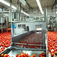 Équipement de traitement de jus personnalisé de grande capacité Ligne de production de pâte de jus de tomate