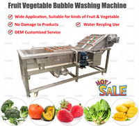 Industriële automatische warmwater mango, drakenvrucht en groente bubbelwas- en droogmachine met ozon