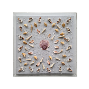 Vente directe du fabricant coquille d'escargot <span class=keywords><strong>de</strong></span> <span class=keywords><strong>mer</strong></span> coquille Saint-Jacques cristal Art mural boîte d'ombre unique décoration <span class=keywords><strong>de</strong></span> maison et d'hôtel vente en gros d'usine - Product Image 1