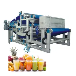 Commerciële Ananas Juicer Machine Dragon Fruit Papaya Aardbei Oranje Industriële Sap Making Machine