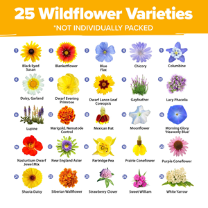 63,200 + fleurs sauvages <span class=keywords><strong>vivaces</strong></span> en vrac Semences 19 variétés de papillons Semences de jardin attirant les oiseaux abeilles pour pots de fleurs et jardinières - Product Image 3