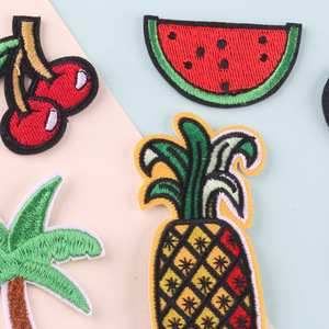 Parches de ropa bordados por computadora Hierro en <span class=keywords><strong>frutas</strong></span> Insignias de ropa de coco y <span class=keywords><strong>cactus</strong></span> - Product Image 4
