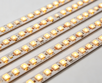 Bande lumineuse LED 5050 en cuivre DC24V, 120 LED/m, indice de protection IP20, pour éclairage extérieur de jardin