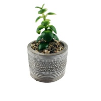 Offre Spéciale : Pots de Fleurs Décoratifs pour Bureau et Maison, Pots de Plantes Artificielles Bonsaï, Fournitures de Jardinage, Pots et Jardinières