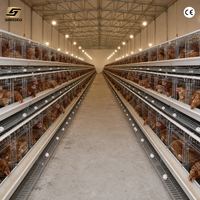 Cage de batterie résistante à la corrosion pour 3 poules pondeuses de ferme avicole, équipement pour poules pondeuses