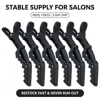 Pinces de sectionnement pour salon de coiffure, pinces crocodiles pour extensions et coiffage, barrettes pour la coiffure