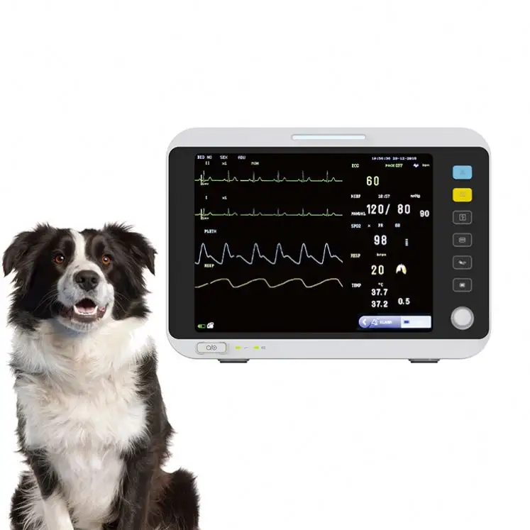 Veteriner tıbbi ekipman co2 spco2 veteriner el hayati işareti multiparametre veteriner monitörü