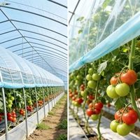 Film plastique agricole pour serre à conversion UV et à absorption de lumière pour la culture de fraises, tomates, raisins et melons