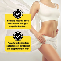 Cápsulas Quemagrasas Personalizadas de Fábrica con Extracto de Café Verde, Favorecen el Control del Apetito, Píldoras de Extracto de Café Verde