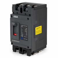 MCCB 125A 250A AC 400V DC 500V Pemutus Sirkuit Cetak Padat 2P CE IEC60947-2 Tenaga Surya PV Tahan Api Dapat Diuji