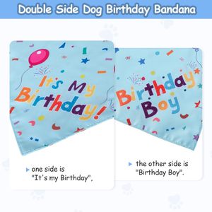 Set per Festa di Compleanno per Cani: Bandane Ecologiche Usa e Getta, Cappelli per Maschi e Femmine, Numeri, Bandiere e Palloncini per Animali Domestici - Product Image 6