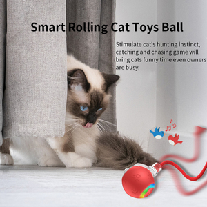 Automatic <strong>Moving</strong> <strong>Cat</strong> <strong>Toys</strong> For Bored Indoor Adult <strong>Cats</strong>, Chirping &amp; Motion-Activated <strong>Cat</strong> <strong>Toys</strong>, Fun Gift For <strong>Cats</strong> - Product Image 5