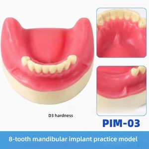 Modelo de práctica de implante dental anatómico con Molde de resina, entrenamiento de ciencia médica, hueso simulado y encías blandas, diente faltante - Product Image 6