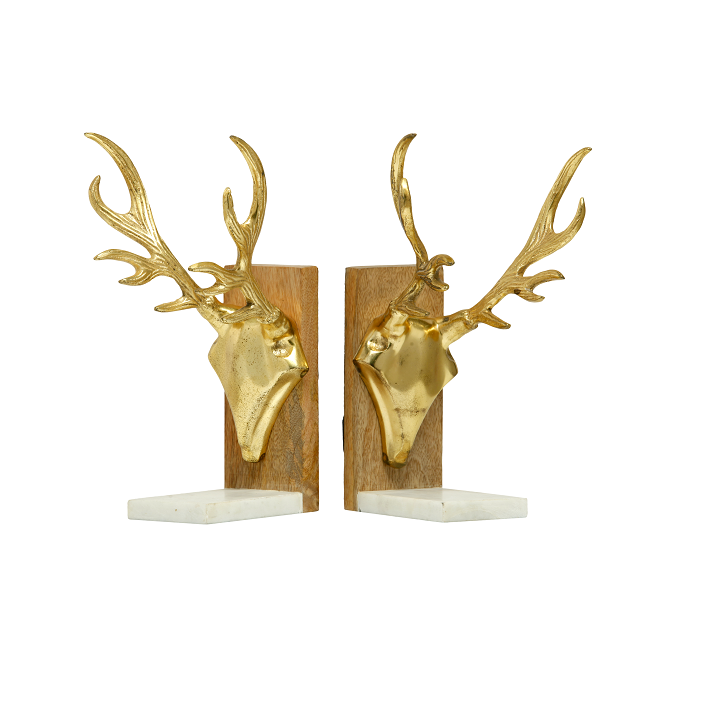 ตามที่แสดง