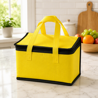 Sacs isothermes promotionnels tendance en tissu 600D avec doublure en aluminium et grande capacité