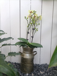 Seaux à lait en cuivre et seaux en étain <span class=keywords><strong>de</strong></span> style américain, et ensembles <span class=keywords><strong>de</strong></span> bassins décoratifs en métal pour terrasse, en gros à bas prix - Product Image 2