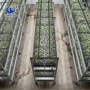 Commercial Grade Automated Ebb and Flow System with Vertical Multi-layer Design for Large Scale Greenhouse System <strong>Plan</strong> <strong>Pro</strong> - Product Image 1