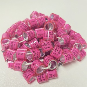 Fournisseur Commercial Gravierte Canard <span class=keywords><strong>Pigeon</strong></span> Bagues Personnelles <span class=keywords><strong>Pigeon</strong></span> Suivi <span class=keywords><strong>Gps</strong></span> <span class=keywords><strong>Bague</strong></span> Pha 2021 Anneaux de <span class=keywords><strong>Pigeon</strong></span> - Product Image 2