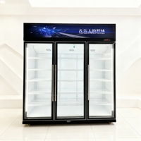 Réfrigérateur commercial vertical à porte vitrée marbrée, à température unique, mécanique, pour boissons, avec refroidissement par compresseur