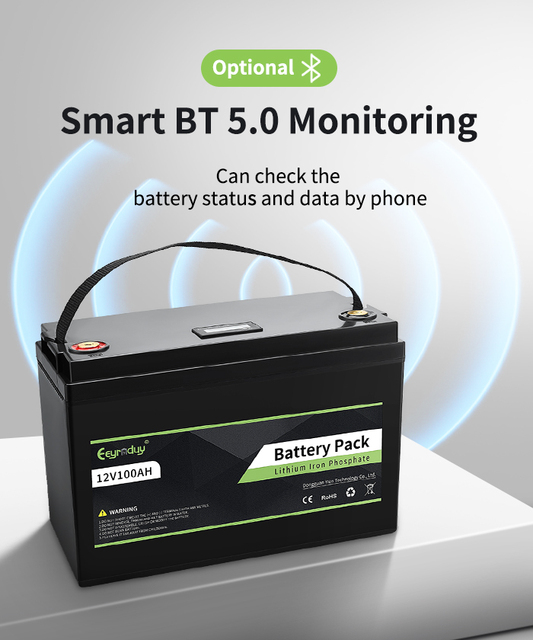 LiFePO4 Battery Pack 12V 100Ah Smart Bluetooth for Car Starter Lead Acid Replacement RV Solar Energy Storage Marine Boat