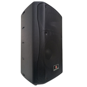 Haut-parleur passif professionnel Jca Electronics 250W 8 Ohm Audio - Product Image 2