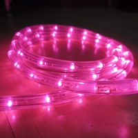 Lumière de corde menée par Ip65 imperméable lumineuse pour la décoration extérieure