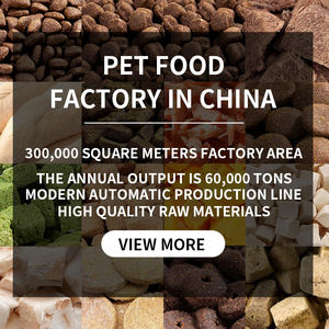 Croquettes naturelles à haute teneur en protéines <span class=keywords><strong>pour</strong></span> chiots et chiens <span class=keywords><strong>bonne</strong></span> saveur OEM ODM personnalisé directement de l'usine en vrac de gros aliments secs - Product Image 3