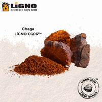 Meilleure Vente en Malaisie : Chaga LiGNO CG06 Certifié Halal et Casher, Poudre Pure Instantanée de Qualité Boisson, Mélange OEM ODM