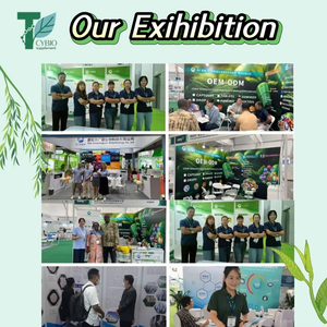 Cápsulas Veganas de Bem-Estar Diário para Adultos com Extratos Herbais Antioxidantes OEM/ODM Marca Privada - Product Image 6