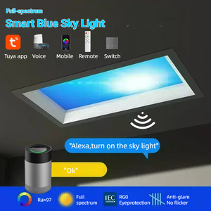 Tuya Wifi Bluetooth Zigbee Smart Light Sky Panel, 60W Light Roof Skies Diseño de techo para terraza, 2700-10000K CCT sintonizable - Product Image 3