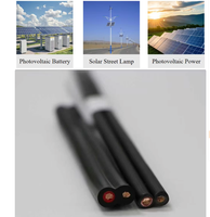 Cable de Alimentación de CC para Panel Solar Fotovoltaico Industrial de Alto Voltaje 1kV IP65, Aislado XLPO, Cobre Estañado, Directo de Fábrica