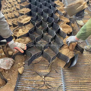 HDPE geocell giữ lại bức tường nhựa cảnh quan lưới 3D mô hình Giải pháp thiết kế cho sỏi ổn định - Product Image 6