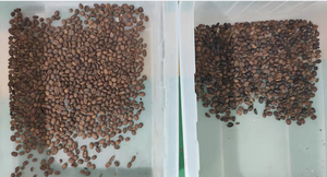 Quang Tự Động Đậu Phân Loại Máy Đậu Lăng Chickpea Màu Sorter Cà Phê Đậu Màu Sorter Separator Máy - Product Image 6