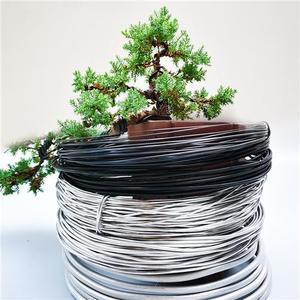 <span class=keywords><strong>ลวด</strong></span>อลูมิเนียมเคลือบสีดำสำหรับงานประดิษฐ์บอน<span class=keywords><strong>ไซ</strong></span> ขนาด 1-5 มม. เกรด 1060/1100/3003/5052 <span class=keywords><strong>ลวด</strong></span>อ่อนสำหรับ<span class=keywords><strong>ดัด</strong></span> ใช้สำหรับกระถางต้นไม้และงานจัดสวน - Product Image 1