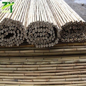 Clôture en bambou de haute qualité en promotion – Écologique et biodégradable pour chantier de construction – Offre spéciale - Product Image 4