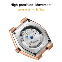 Montre Sportive Mécanique Automatique ODM/OEM pour Femme, Analogique, Squelette, Verre Saphir, Acier Inoxydable 304, Fermoir Papillon Creux